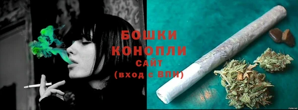 альфа пвп Новодвинск
