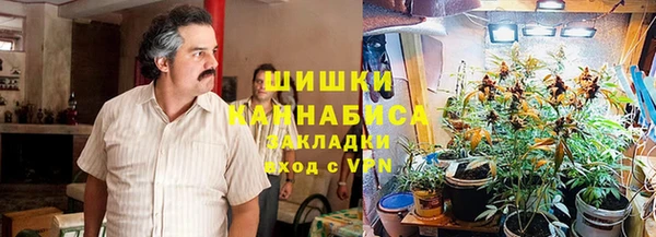альфа пвп Новодвинск