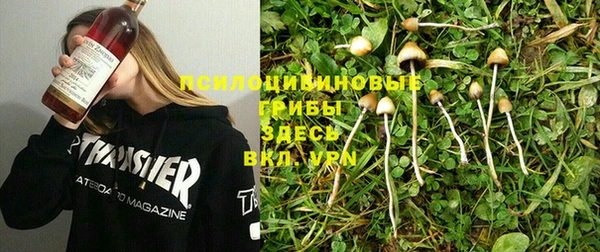 альфа пвп Новодвинск