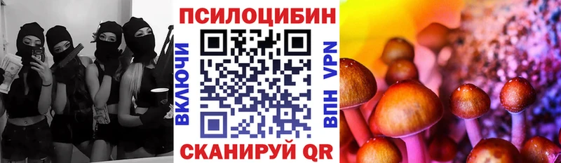 Псилоцибиновые грибы мицелий  Полярный 